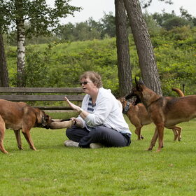 Hondenfoto van De Mecheltjes clan