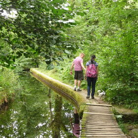 Wandelen.