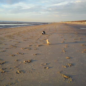 Boy en Keeva in aktie!!!