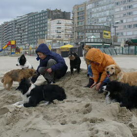 Hier zie je Gowah en Akso aan zee, samen met al hun vriendjes.