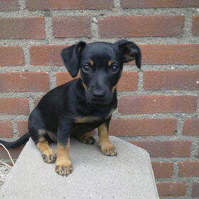 Fotomodel!!! (11 wkn)