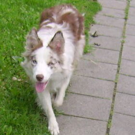 Djuna 11 maand