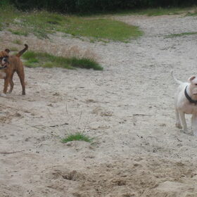 Zaz&Zorr
