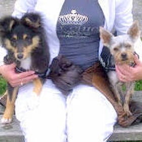 Hondenfoto van *~-Sammy-Ft -Jady- Ft -Bailey-~*