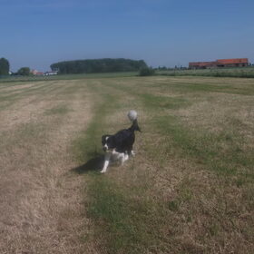 lopen