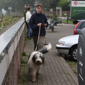 Duuk aan het werk