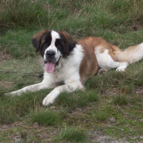 Lesly was ook een van mijn favorietjes en vond een superthuis…