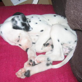 Als een baby