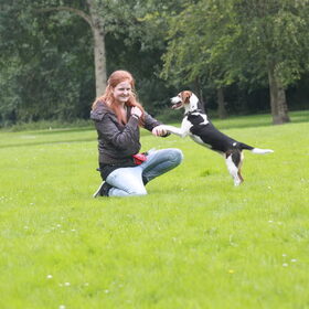 Hondenfoto van team Shadow