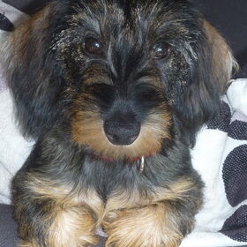 ik kan toch zo lief doen.. hi hi