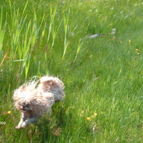 Joehoeee heerlijk het is lente.