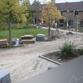 Hondenfoto van Claudia & Tank