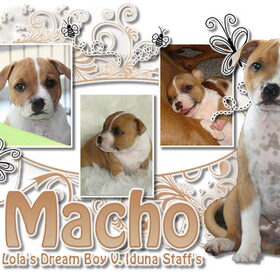Hondenfoto van Carla & Macho