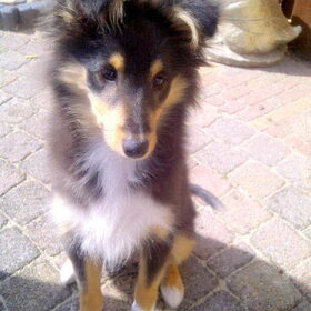 Bailey
