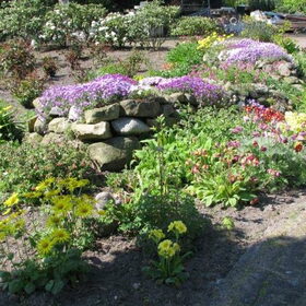 mijn tuin 20april