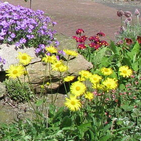 mijn tuin 20april