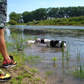 Hondenfoto van Jeroen & Lola