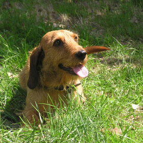 Vakantie Frankrijk 2011