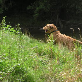 Vakantie Frankrijk 2011