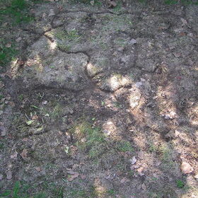 Vakantie Frankrijk 2011: de grond onder mijn tentje, vol met…