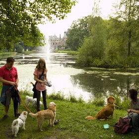 Hondenfoto van anais ~ filou&kajou
