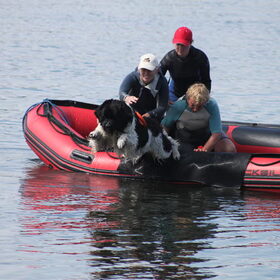 Reina springt super mooi uit de boot
