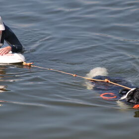 Reina trekt de surfplank