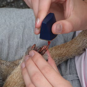 Jessy's nagels gelakt!!