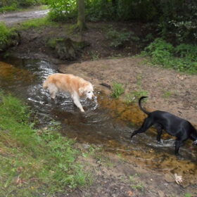 samen baderen