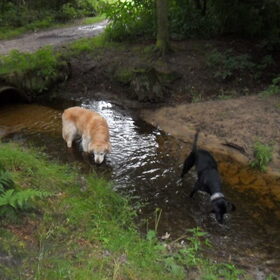 samen baderen