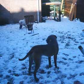 voor het eerst in de sneeuw, en hier is ze 10 maanden