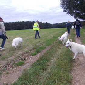 wandeling maaseik aug.2011