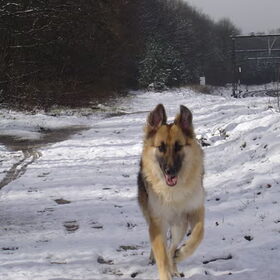 Hee, roep je me???
