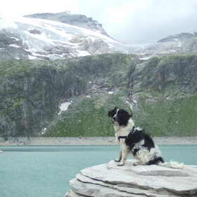 bij de Weisssee vlakbij de Grossglockner
