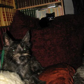 Bobby met haar nieuwe huisgenootje, de poes Mimi.