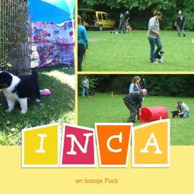 Hondenfoto van Puck en Inca