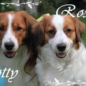 Roxie en Scotty