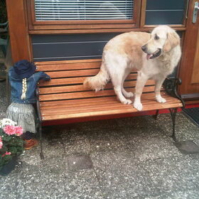 Hondenfoto van Brenda & Buddy & Bobby & Onyx