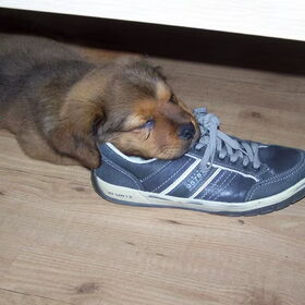 Die geur die doet 't....