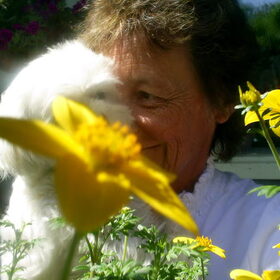 Hondenfoto van Chicka