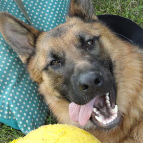 Max... GEK??? Neehoor ;)