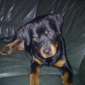 Floyd 6 maanden oud