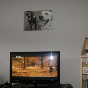 Onze canvas aan de muur