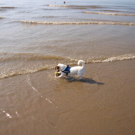 Dagje strand.