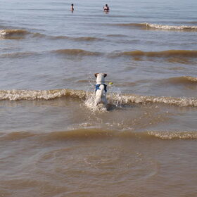Dagje strand.