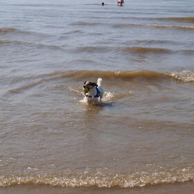 Dagje strand.