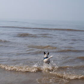 Dagje strand.