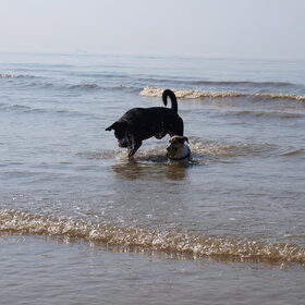 Melo en z'n nieuwe vriend.