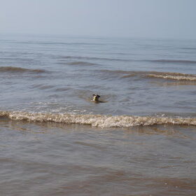 Melo, het vriendelijke zeemonstertje.