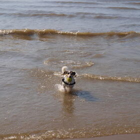 Dagje strand.